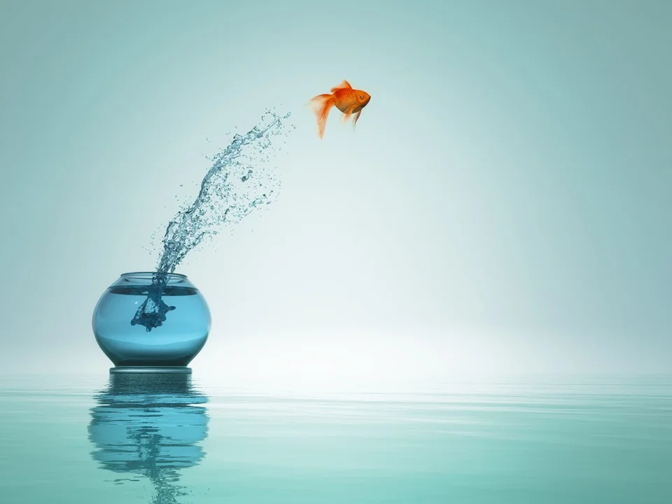 Goldfish jumping out of a small fishbowl into vast open water, symbolizing freedom and ambition.